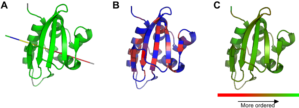 Results mapped onto the 3D structure in PyMOL